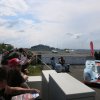 Grip Cars &.Coffee